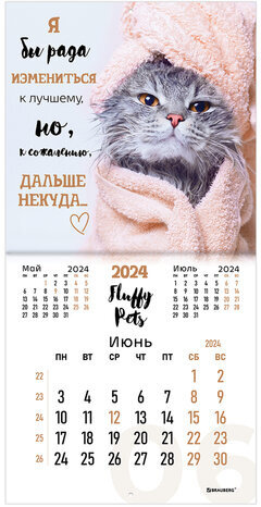 Календарь настенный перекидной на 2024 г., BRAUBERG, 12 листов, 29х29 см, "Кошечки", 115315