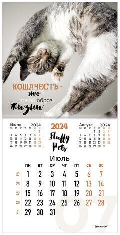 Календарь настенный перекидной на 2024 г., BRAUBERG, 12 листов, 29х29 см, "Кошечки", 115315