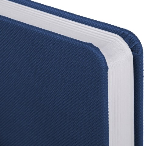 Ежедневник датированный 2026, А5, 138x213 мм, BRAUBERG "Control", под кожу, держатель для ручки, синий, 117121