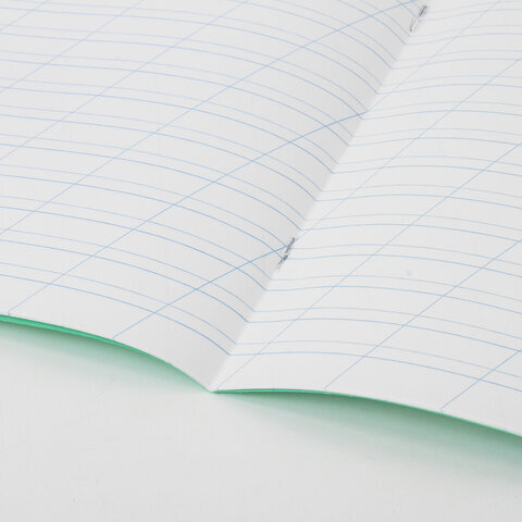 Тетради 12 л. КОМПЛЕКТ 20 шт. BRAUBERG "ВЕЛИКИЕ ИМЕНА ЕСЕНИН С.А.", косая линия, бумага 80 г/м2, 880018