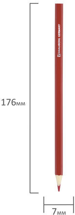 Карандаши цветные BRAUBERG "Wonderful butterfly", 12 цветов, заточенные, картонная упаковка с блестками, 180535