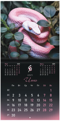 Календарь настенный перекидной на 2025 г., BRAUBERG, 12 листов, 29х29 см, "Символ года", 116169