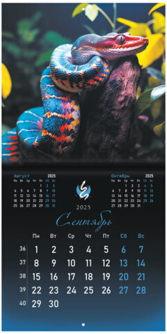 Календарь настенный перекидной на 2025 г., BRAUBERG, 12 листов, 29х29 см, "Символ года", 116169