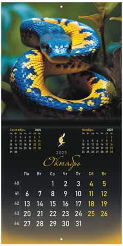 Календарь настенный перекидной на 2025 г., BRAUBERG, 12 листов, 29х29 см, "Символ года", 116169