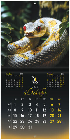 Календарь настенный перекидной на 2025 г., BRAUBERG, 12 листов, 29х29 см, "Символ года", 116169