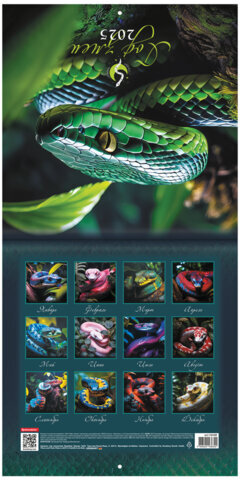 Календарь настенный перекидной на 2025 г., BRAUBERG, 12 листов, 29х29 см, "Символ года", 116169