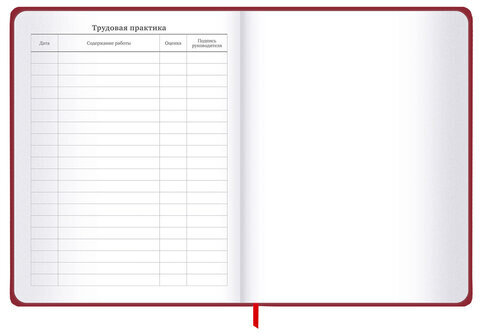 Дневник 1-11 класс 48 л., твердый, BRAUBERG, матовая ламинация, резинка, закладка-ляссе, с подсказом, "Мото", 107236