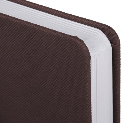 Ежедневник датированный 2026, А5, 138x213 мм, BRAUBERG "Control", под кожу, держатель для ручки, коричневый, 117122