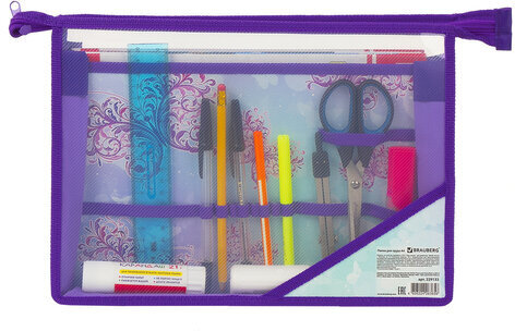 Папка для труда BRAUBERG А4, 2 отделения, пластик, молния сверху, органайзер, "Butterfly", 229133