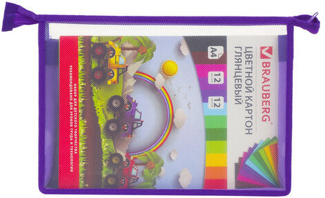 Папка для труда BRAUBERG А4, 2 отделения, пластик, молния сверху, органайзер, "Butterfly", 229133