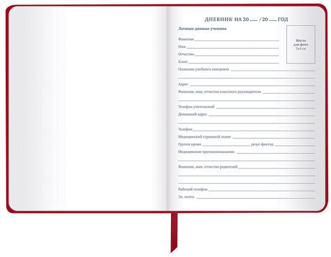 Дневник 1-11 класс 48 л., кожзам (твердая), шелкография, BRAUBERG, "Anime", 106225