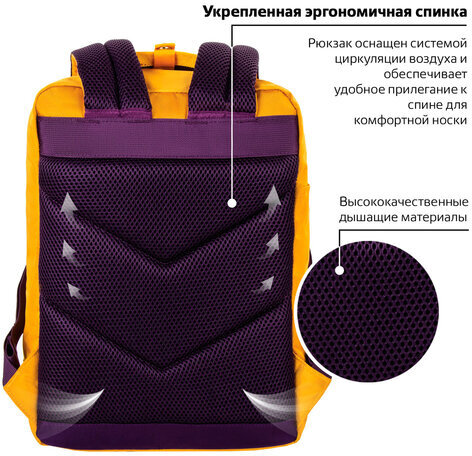 Рюкзак BRAUBERG FRIENDLY молодежный, горчично-фиолетовый, 37х26х13 см, 270093