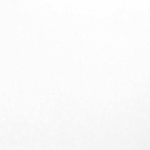 Бумага для акварели БОЛЬШАЯ А2, 10 л., 200 г/м2, 400х590 мм, BRAUBERG, "Цветы", 125223