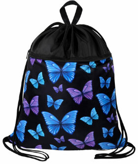 Мешок для обуви BRAUBERG БОЛЬШОЙ, с ручкой, карман на молнии, сетка, 49х41 см, &quot;Fly aways&quot;, 272402