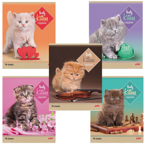 Тетрадь А5, 48 л., HATBER, скоба, линия, обложка картон, "КОТЯТА" (5 видов в спайке), 48Т5В2, T242407