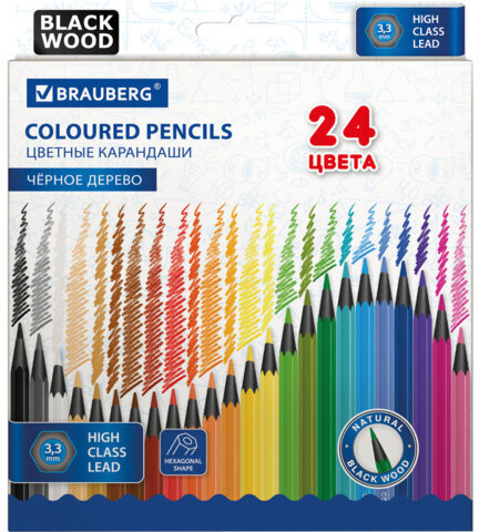 Карандаши цветные BRAUBERG, 24 цвета, черное дерево, грифель мягкий 3,3 мм, 181858