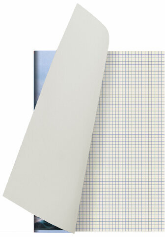 Тетрадь А4, 80 л., STAFF "Basic", скоба, клетка, офсет №2 ЭКОНОМ, обложка картон, "Ocean", 404044