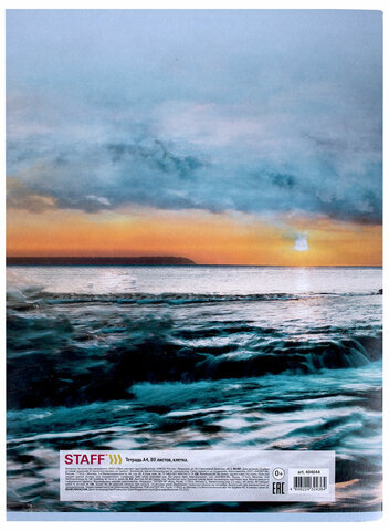 Тетрадь А4, 80 л., STAFF "Basic", скоба, клетка, офсет №2 ЭКОНОМ, обложка картон, "Ocean", 404044