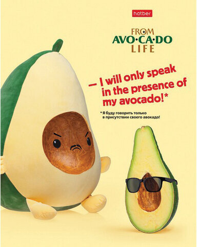 Тетрадь А5, 48 л., HATBER, скоба, клетка, обложка картон, AvoCaDo life (5 видов в спайке), 48Т5В1