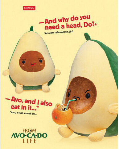 Тетрадь А5, 48 л., HATBER, скоба, клетка, обложка картон, AvoCaDo life (5 видов в спайке), 48Т5В1