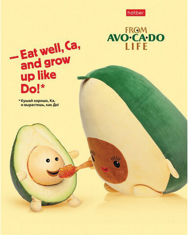 Тетрадь А5, 48 л., HATBER, скоба, клетка, обложка картон, AvoCaDo life (5 видов в спайке), 48Т5В1