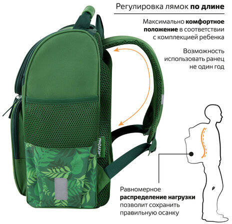 Ранец ПИФАГОР BASIC, 1 отделение, 3 кармана, эргономичная спинка, "Dinoland", 35х28х18 см, 271373