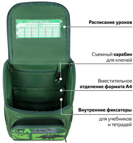 Ранец ПИФАГОР BASIC, 1 отделение, 3 кармана, эргономичная спинка, "Dinoland", 35х28х18 см, 271373