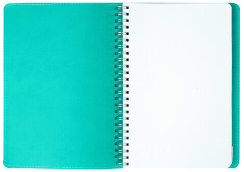 Тетрадь А5 (148x218 мм), BRAUBERG "Office PRO", гибкая, под кожу, гребень, 80 л., бирюзовая, 111043