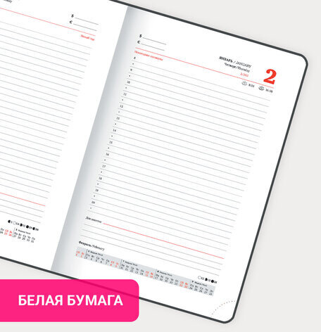 Ежедневник датированный 2025, А5, 138x213 мм, BRAUBERG "Assistant", под кожу, держатель, серый, 115890