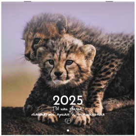 Календарь настенный перекидной на 2025 г., BRAUBERG, 12 листов, 29х29 см, &quot;Детёныши&quot;, 116171