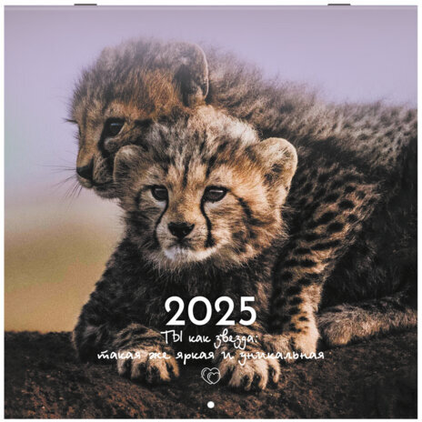 Календарь настенный перекидной на 2025 г., BRAUBERG, 12 листов, 29х29 см, "Детёныши", 116171