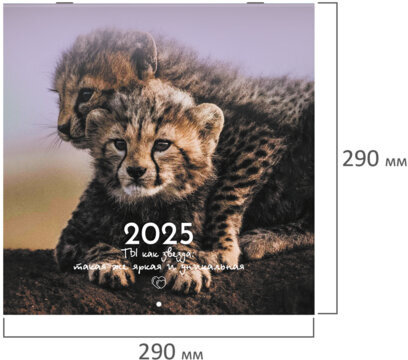 Календарь настенный перекидной на 2025 г., BRAUBERG, 12 листов, 29х29 см, "Детёныши", 116171