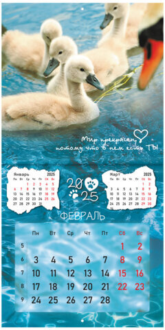 Календарь настенный перекидной на 2025 г., BRAUBERG, 12 листов, 29х29 см, "Детёныши", 116171