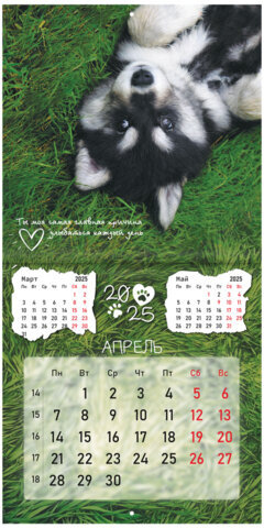 Календарь настенный перекидной на 2025 г., BRAUBERG, 12 листов, 29х29 см, "Детёныши", 116171