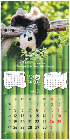 Календарь настенный перекидной на 2025 г., BRAUBERG, 12 листов, 29х29 см, "Детёныши", 116171