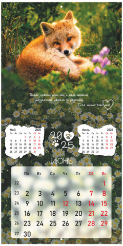 Календарь настенный перекидной на 2025 г., BRAUBERG, 12 листов, 29х29 см, "Детёныши", 116171