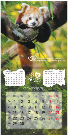 Календарь настенный перекидной на 2025 г., BRAUBERG, 12 листов, 29х29 см, "Детёныши", 116171