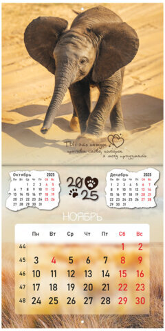 Календарь настенный перекидной на 2025 г., BRAUBERG, 12 листов, 29х29 см, "Детёныши", 116171