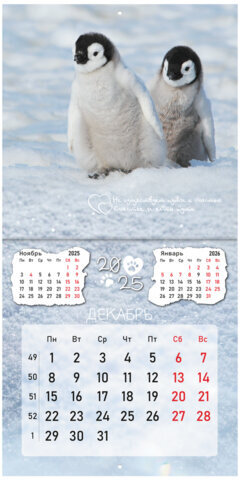 Календарь настенный перекидной на 2025 г., BRAUBERG, 12 листов, 29х29 см, "Детёныши", 116171