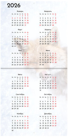 Календарь настенный перекидной на 2025 г., BRAUBERG, 12 листов, 29х29 см, "Детёныши", 116171
