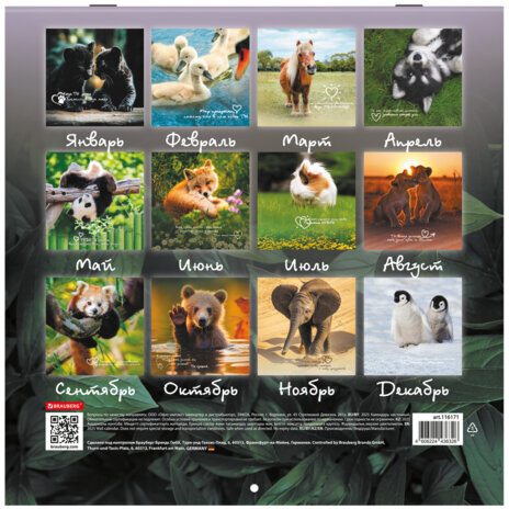 Календарь настенный перекидной на 2025 г., BRAUBERG, 12 листов, 29х29 см, "Детёныши", 116171