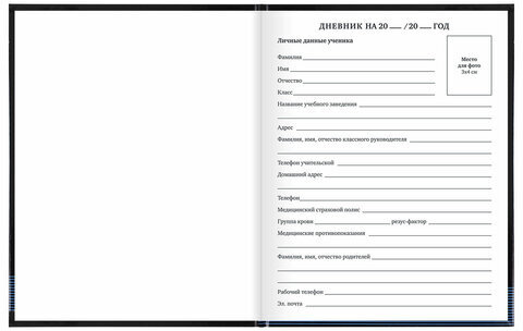 Дневник 1-11 класс 40 л., твердый, BRAUBERG, глянцевая ламинация, "Internet", 106619