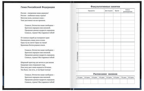 Дневник 1-11 класс 40 л., твердый, BRAUBERG, глянцевая ламинация, "Internet", 106619