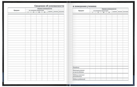 Дневник 1-11 класс 40 л., твердый, BRAUBERG, глянцевая ламинация, "Internet", 106619
