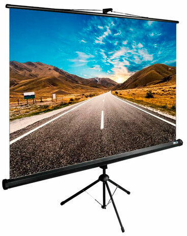 Экран Cactus TriExpert CS-PSTE-160x160-BK, 160x160 см, 1:1, напольный, черный