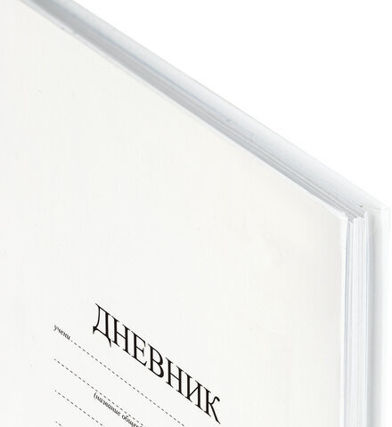 Дневник 1-11 класс 40 л., твердый, BRAUBERG, матовая ламинация, БЕЛЫЙ, 105540