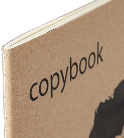 Тетрадь 40 л. в клетку обложка КРАФТ, бежевая бумага 70 г/м2, сшивка, А5 (147х210 мм), СКЕЙТЕР, BRAUBERG, 403757