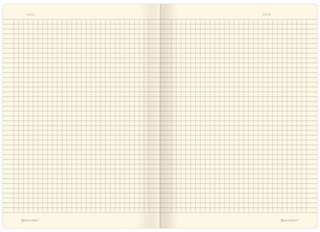 Тетрадь 40 л. в клетку обложка КРАФТ, бежевая бумага 70 г/м2, сшивка, А5 (147х210 мм), СКЕЙТЕР, BRAUBERG, 403757