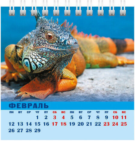 Календарь-домик настольный на гребне на 2024 г., 101х101 мм, "Год Дракона", HATBER, 12КД6гр_29026