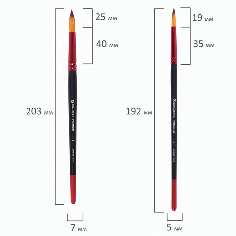 Кисти BRAUBERG PREMIUM, набор 10 шт. (синтетика, круглые № 1, 2, 3, 5, 8, плоские № 2, 4, 6, 8, 10), 201027